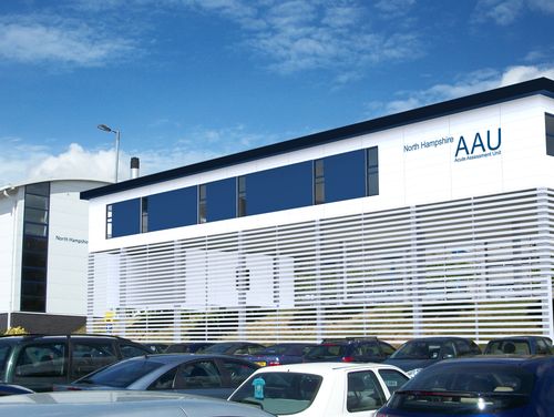Basingstoke AAU & Step Down